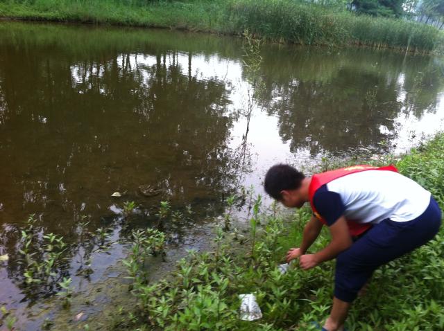 美化村落环境 美化村落环境